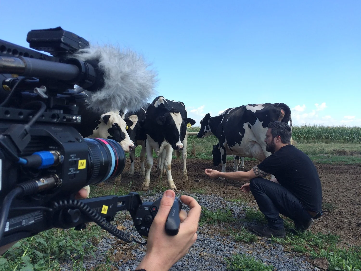 Behind The Scenes - Portico