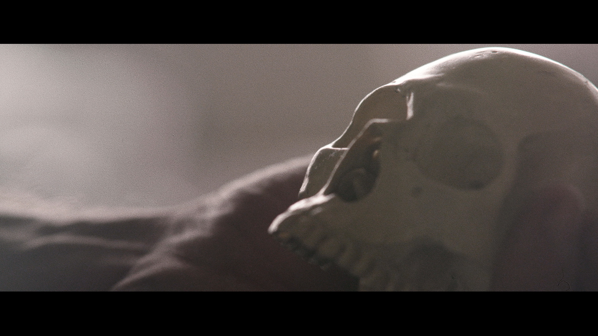 Forced Perspective Now Available at Vimeo on Demand!