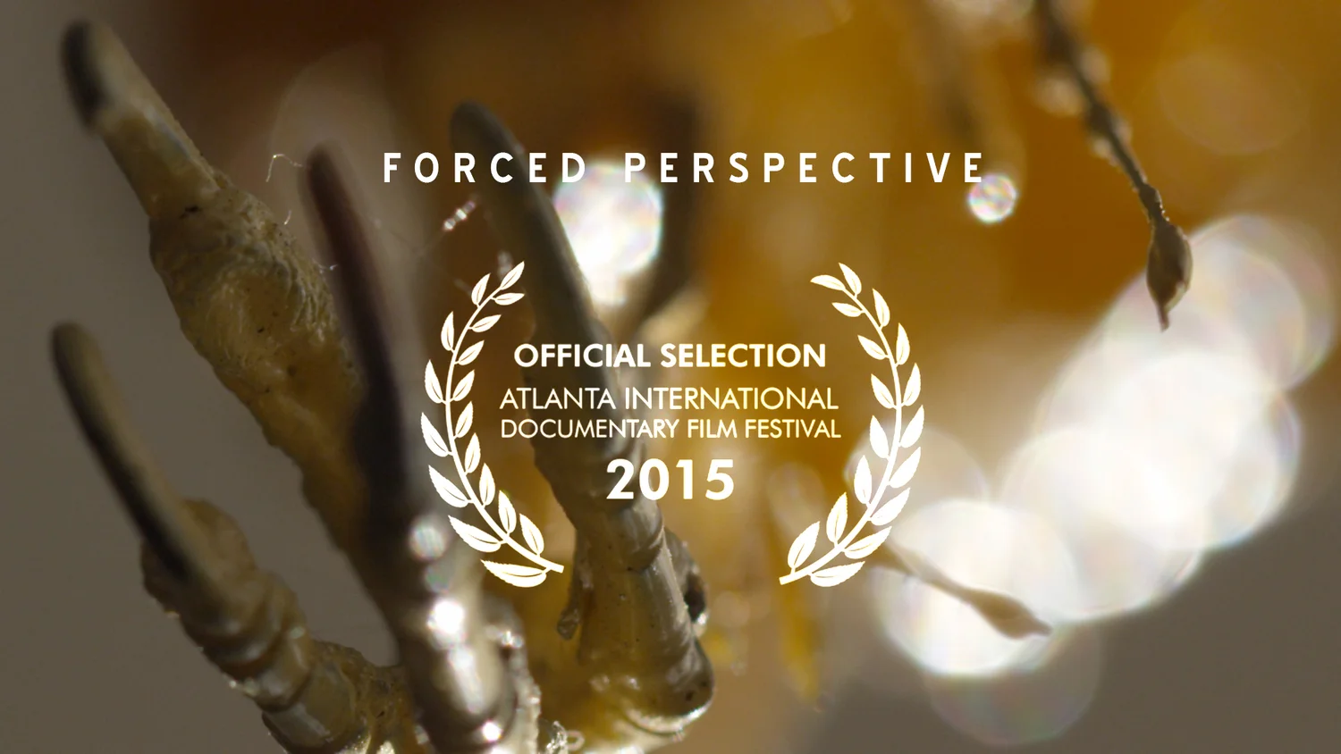Forced Perspective - Atlanta International Documentary Film Festival