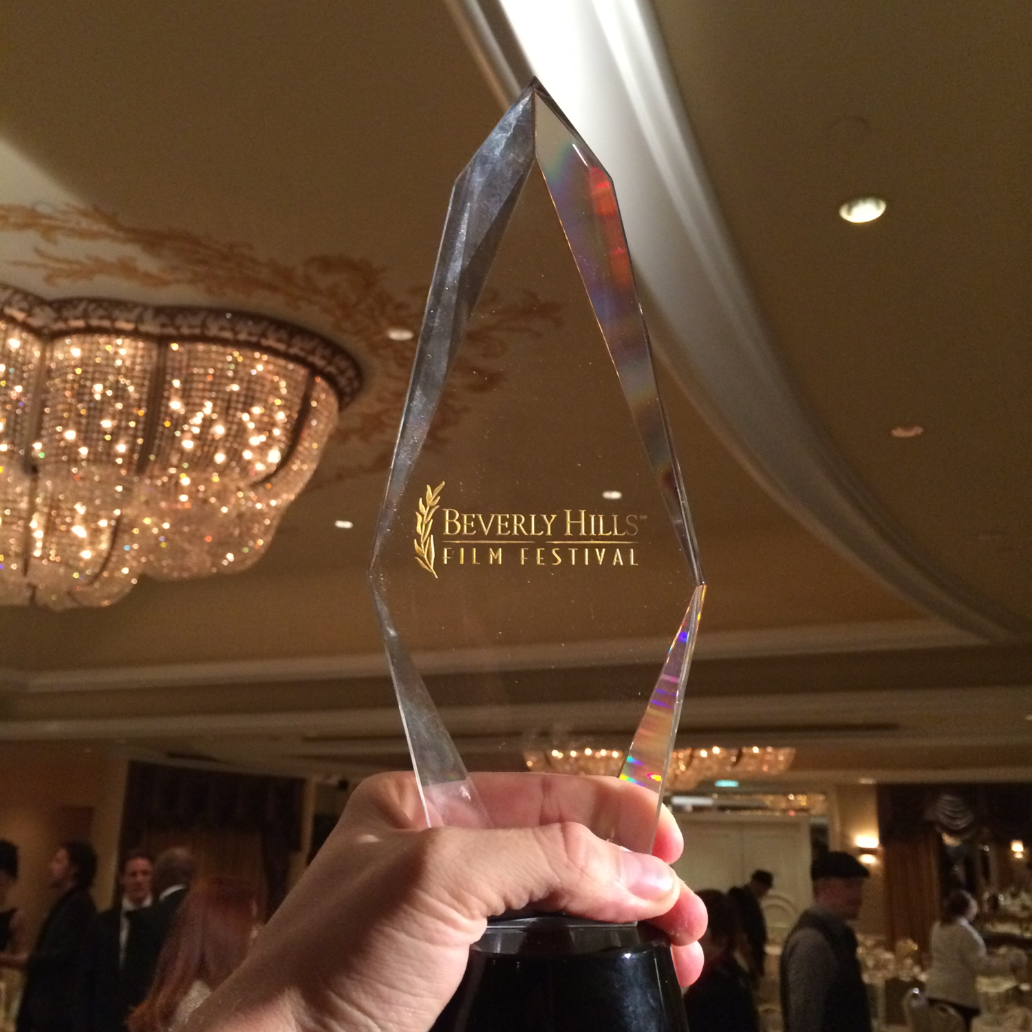 Forced Perspective | Best Cinematography Award - Beverly Hills Film Festival
