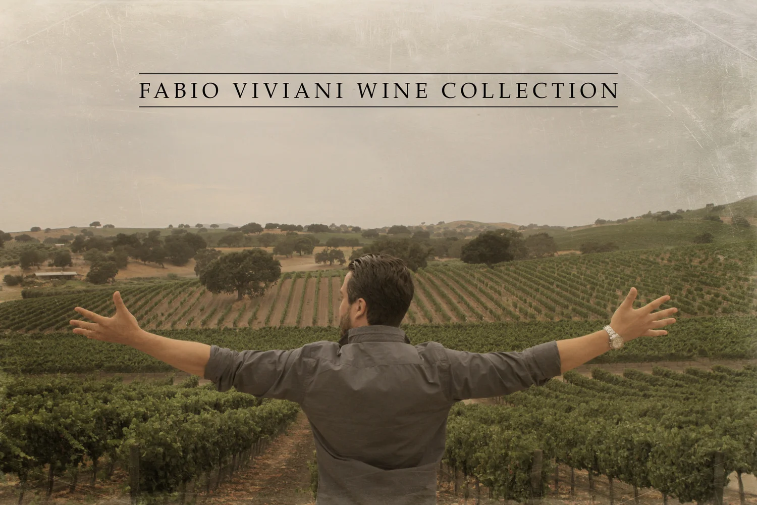 Fabio Viviani Wine Collection | Behind The Scenes