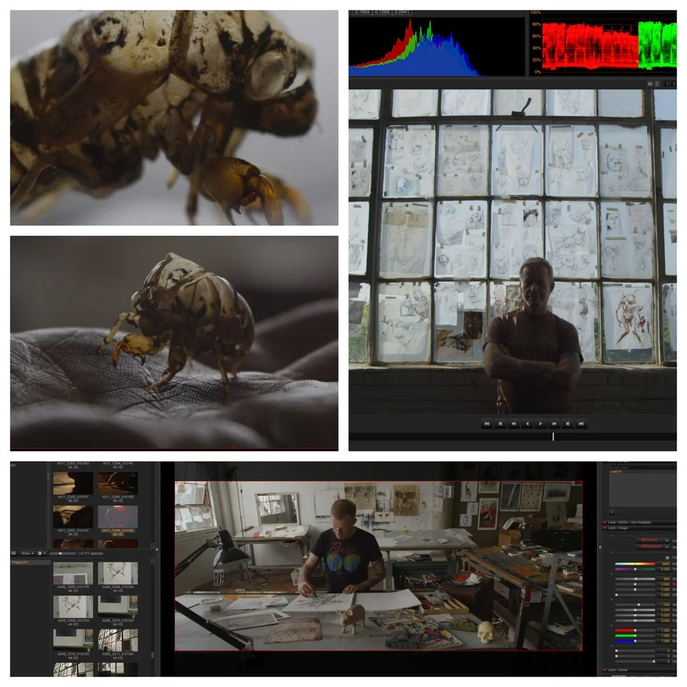 Forced Perspective Update