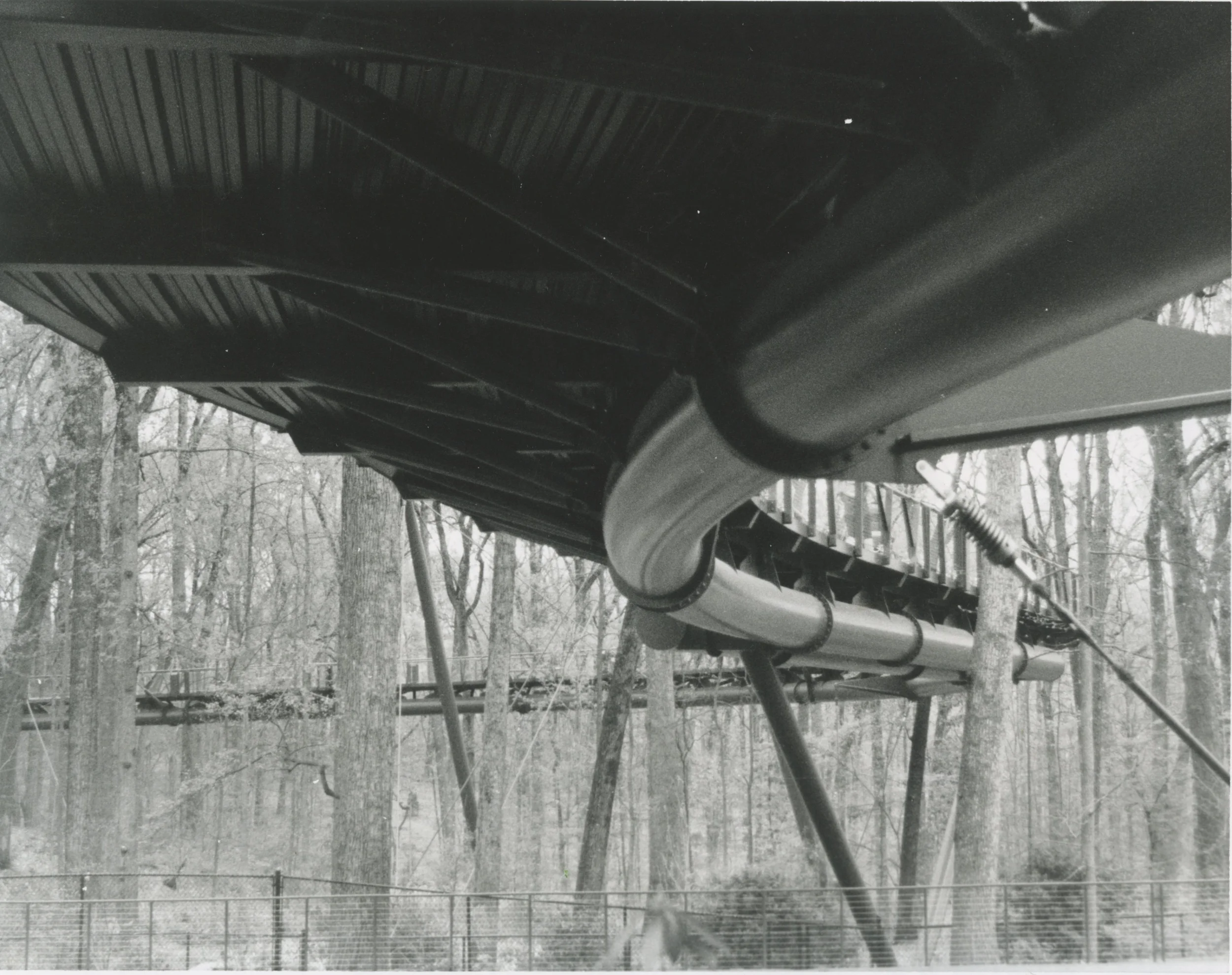 Ellie Hansen  2.jpeg