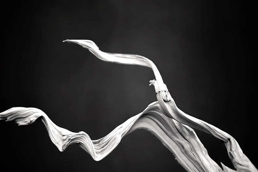 small IMG_7977-Edit.jpg