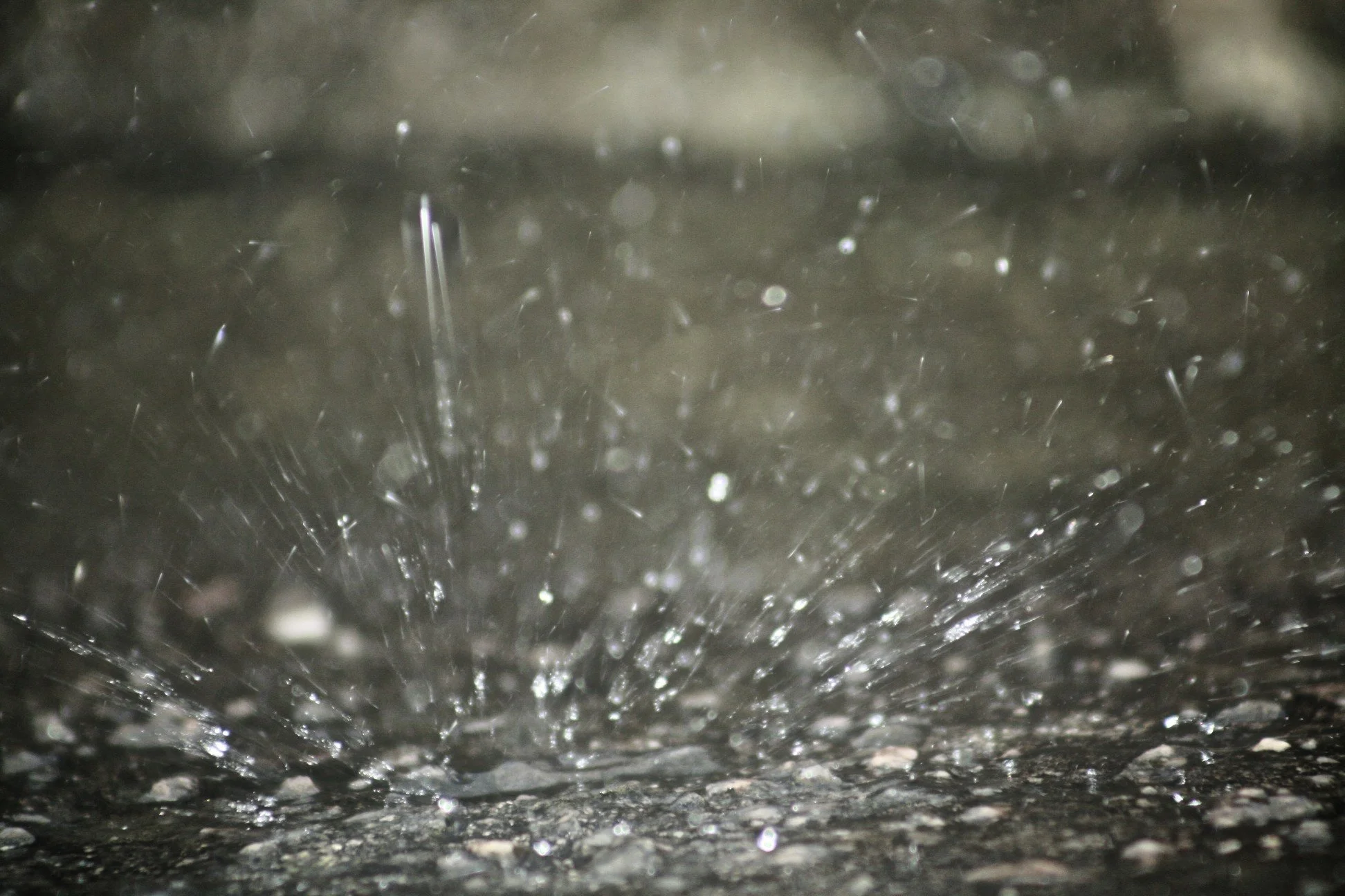 Rain_drops_(2474695068).jpg