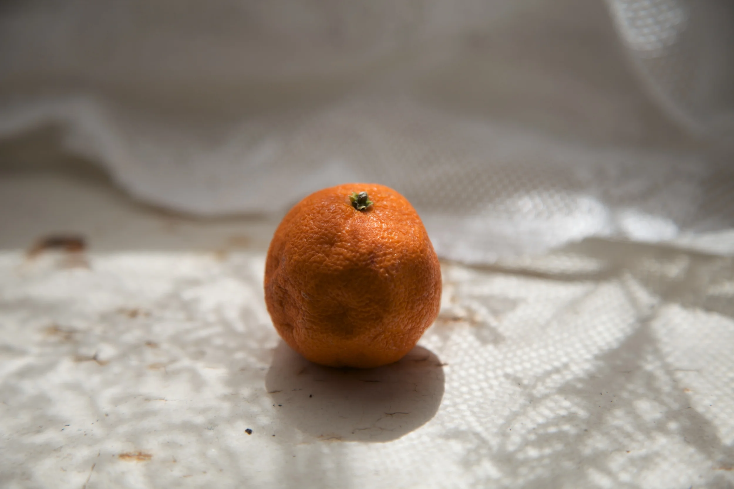 LIGHTSTUDY 80.jpg