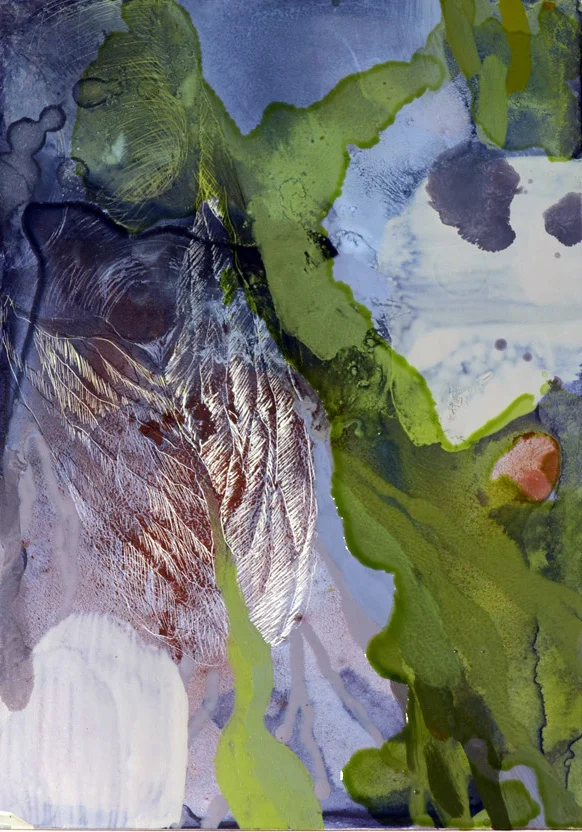 Cicada 2