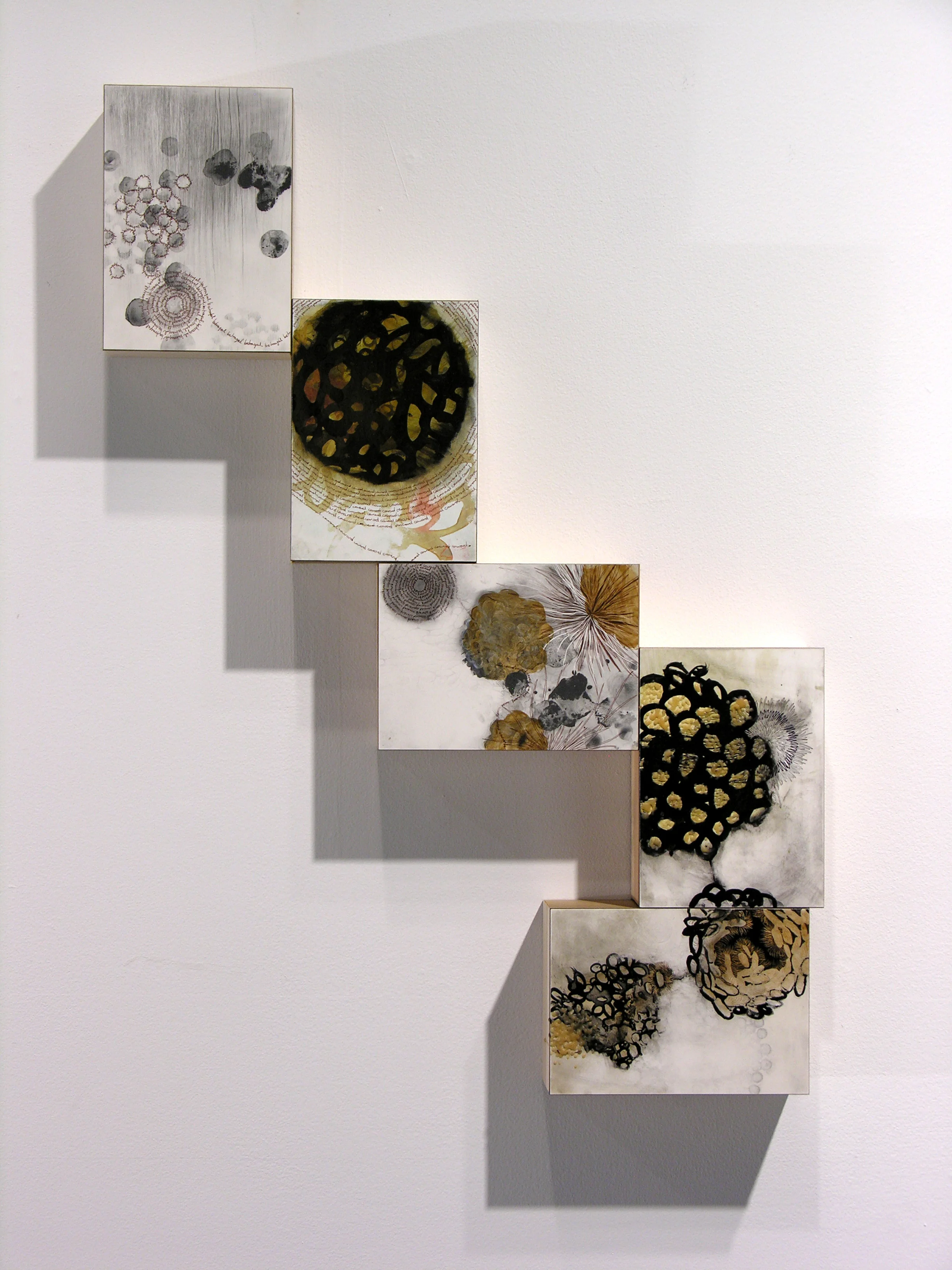 Specimen 1-5