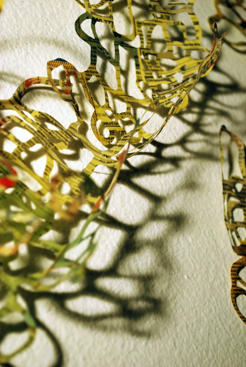 Conglomeration detail 2