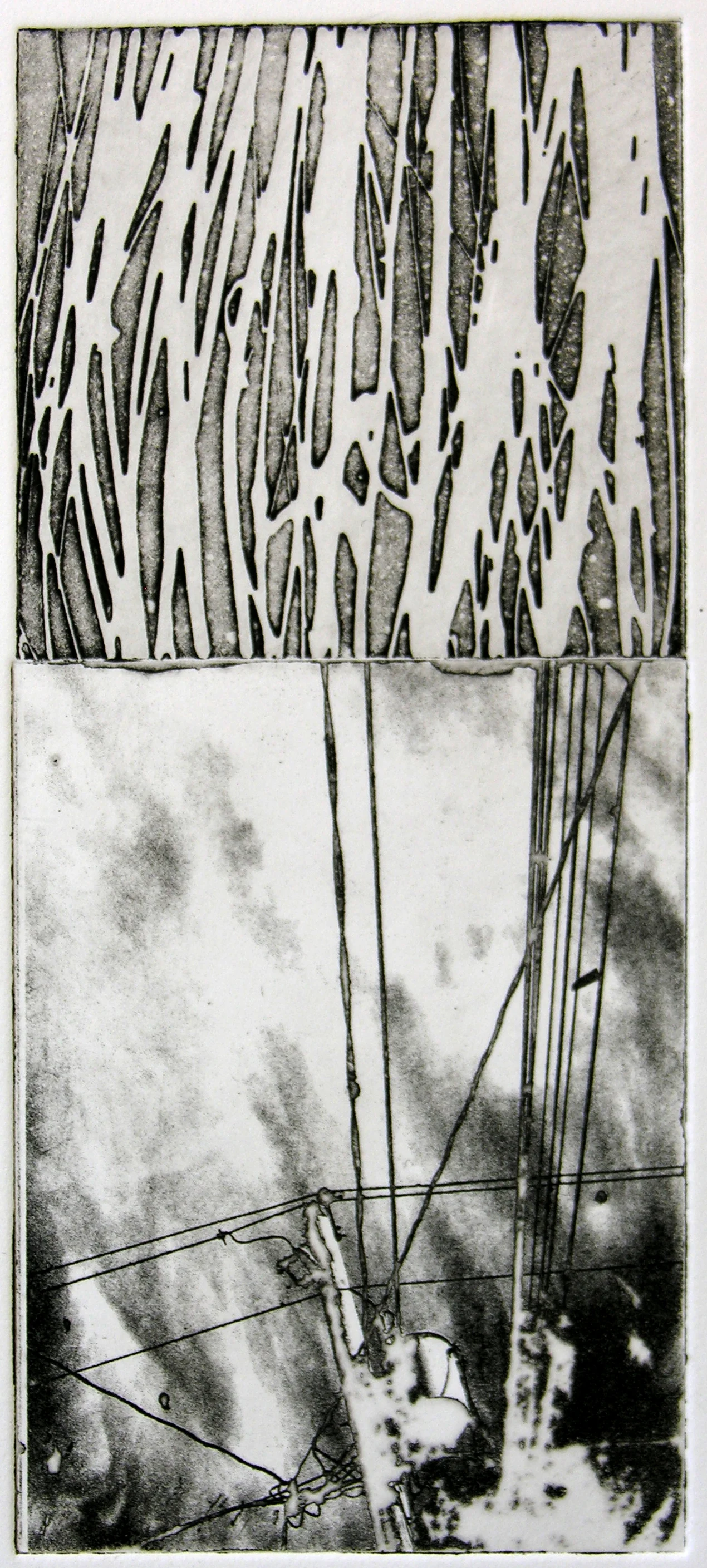 Wires in the trees 2