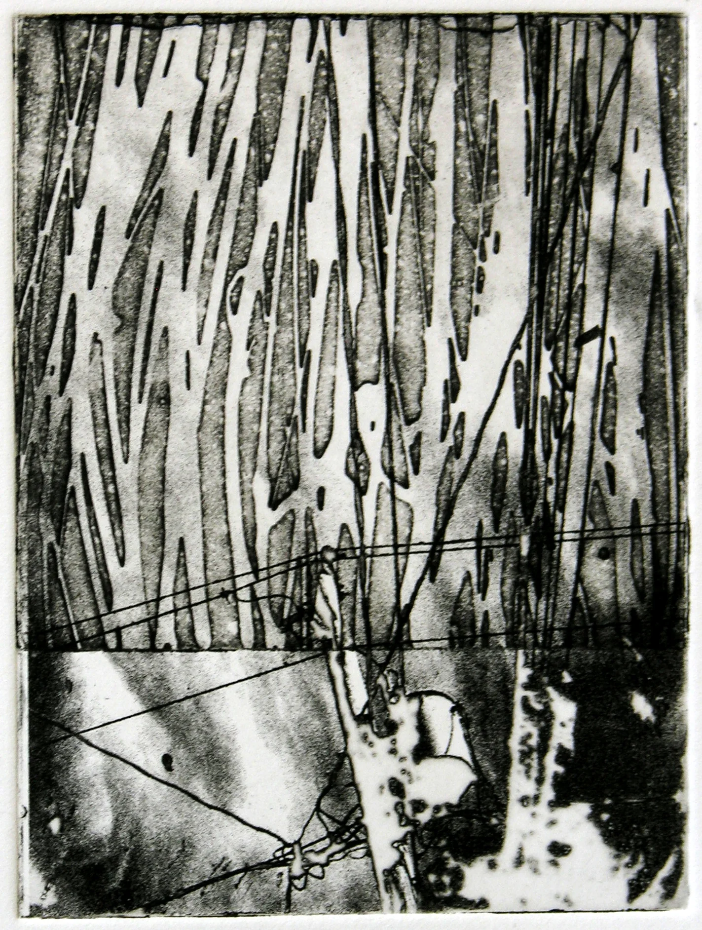 Wires in the trees 3