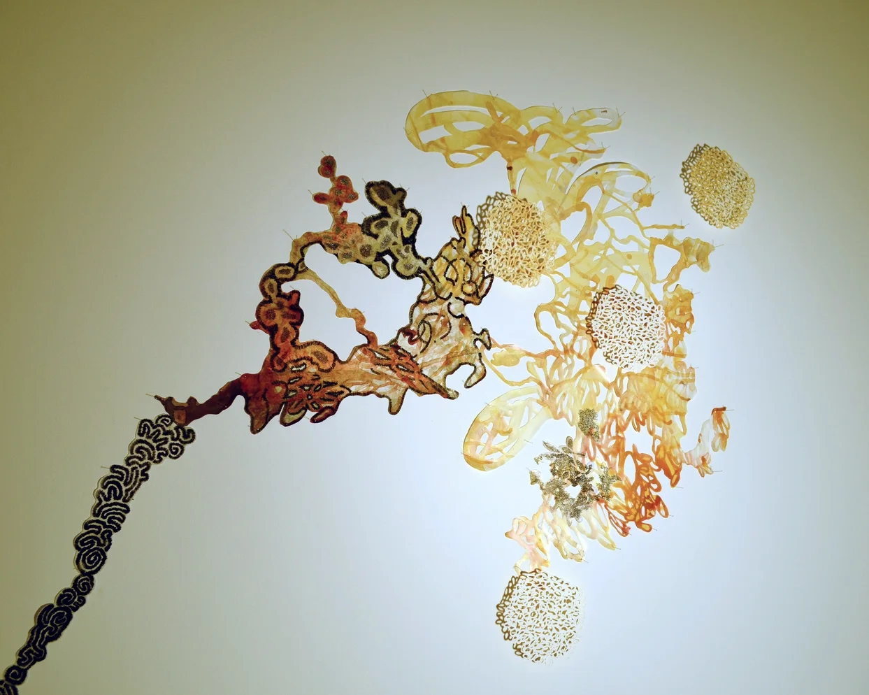 Cause and Effect Goucher College detail