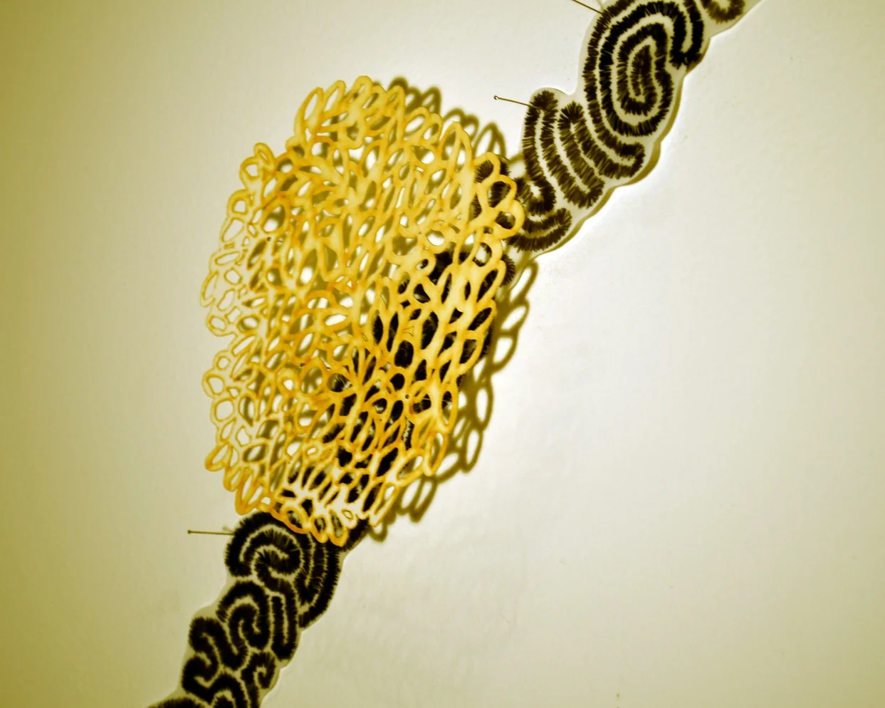 Cause and Effect Goucher College detail