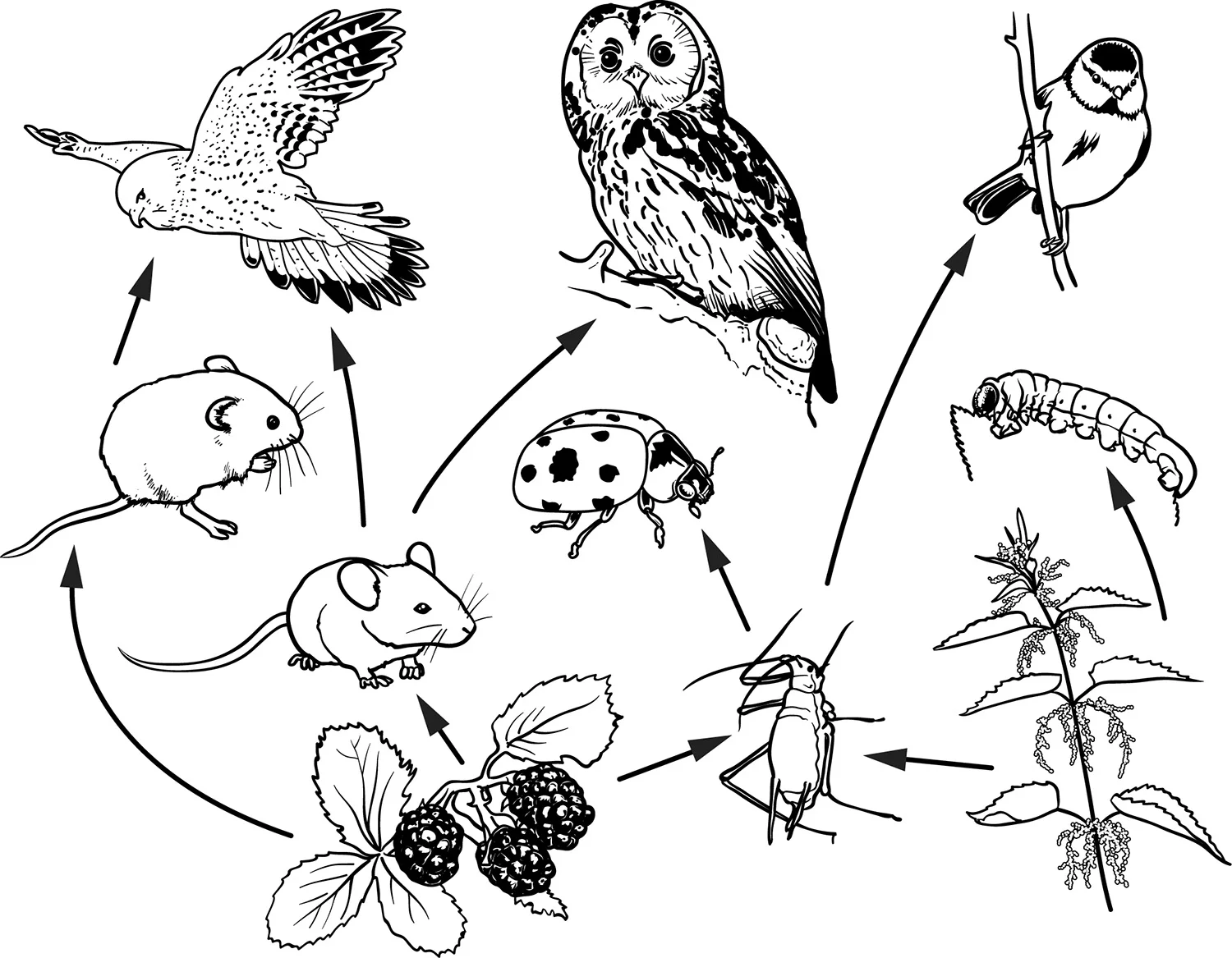 100s_BK_YR4_P140.jpg