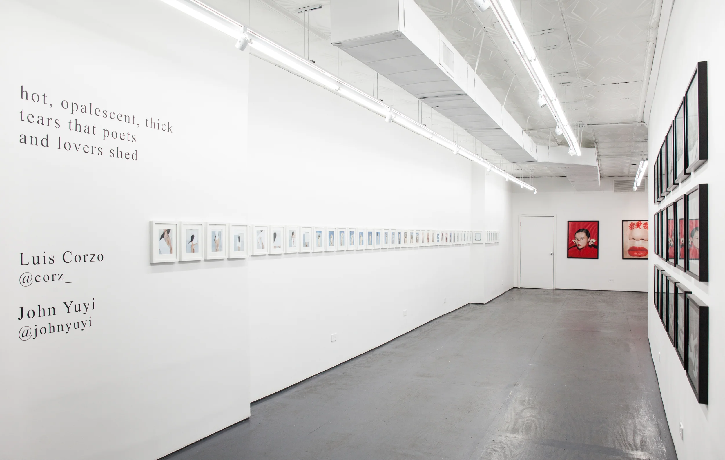 From the duo exhibition ‘Hot, opalescent, thick tears that poets and lovers shed’ curated by James Chen (July 2016)