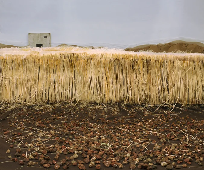 field, 2012. c print. 50"x40"