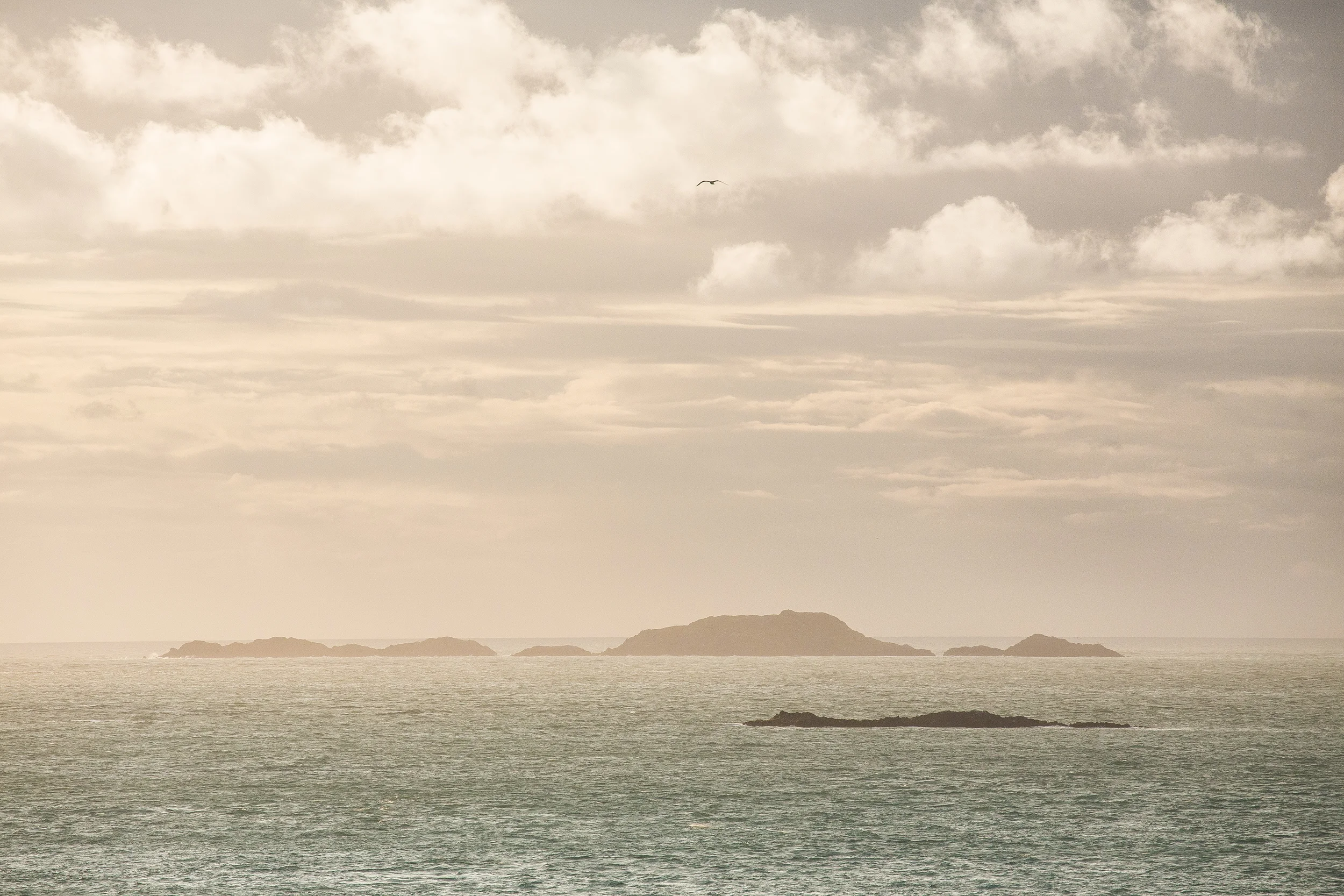 Pembs_insta-25.jpg
