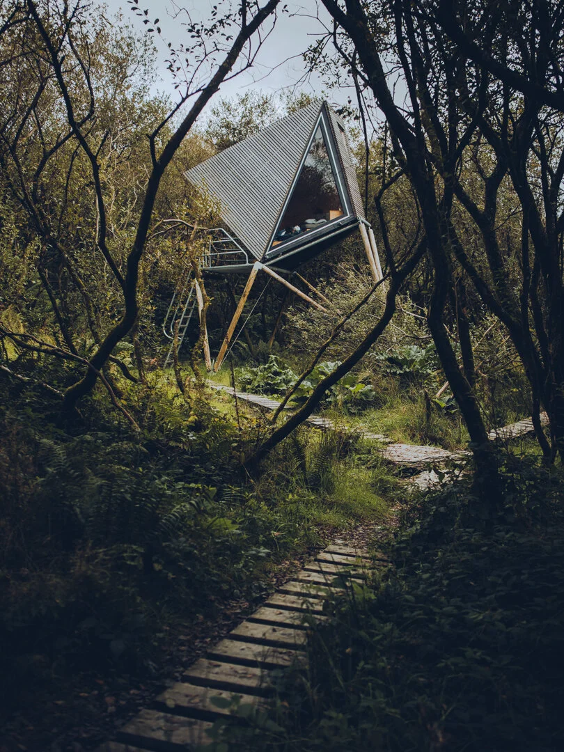 insta-9226.jpg