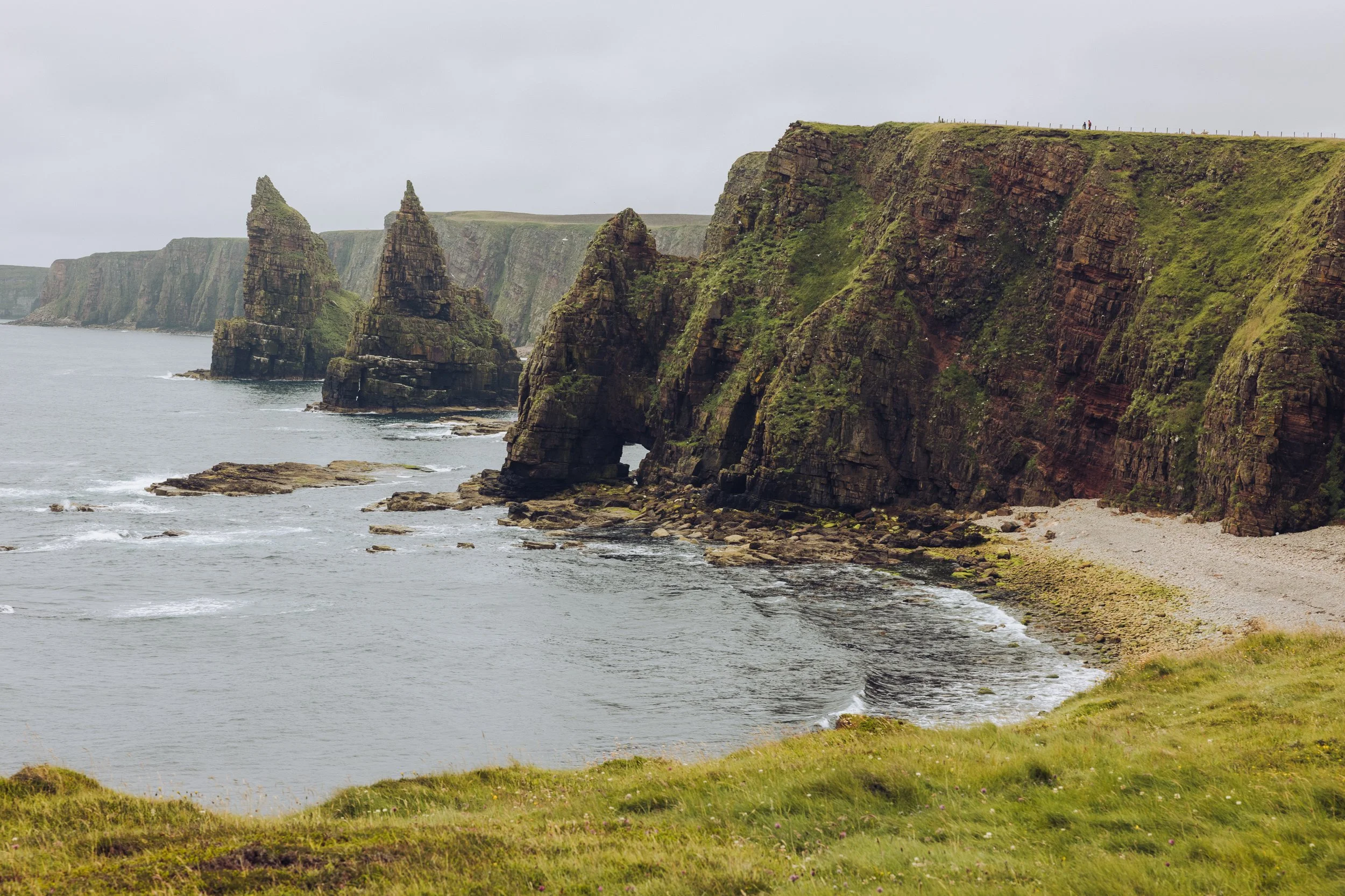 _MG_4468.jpg