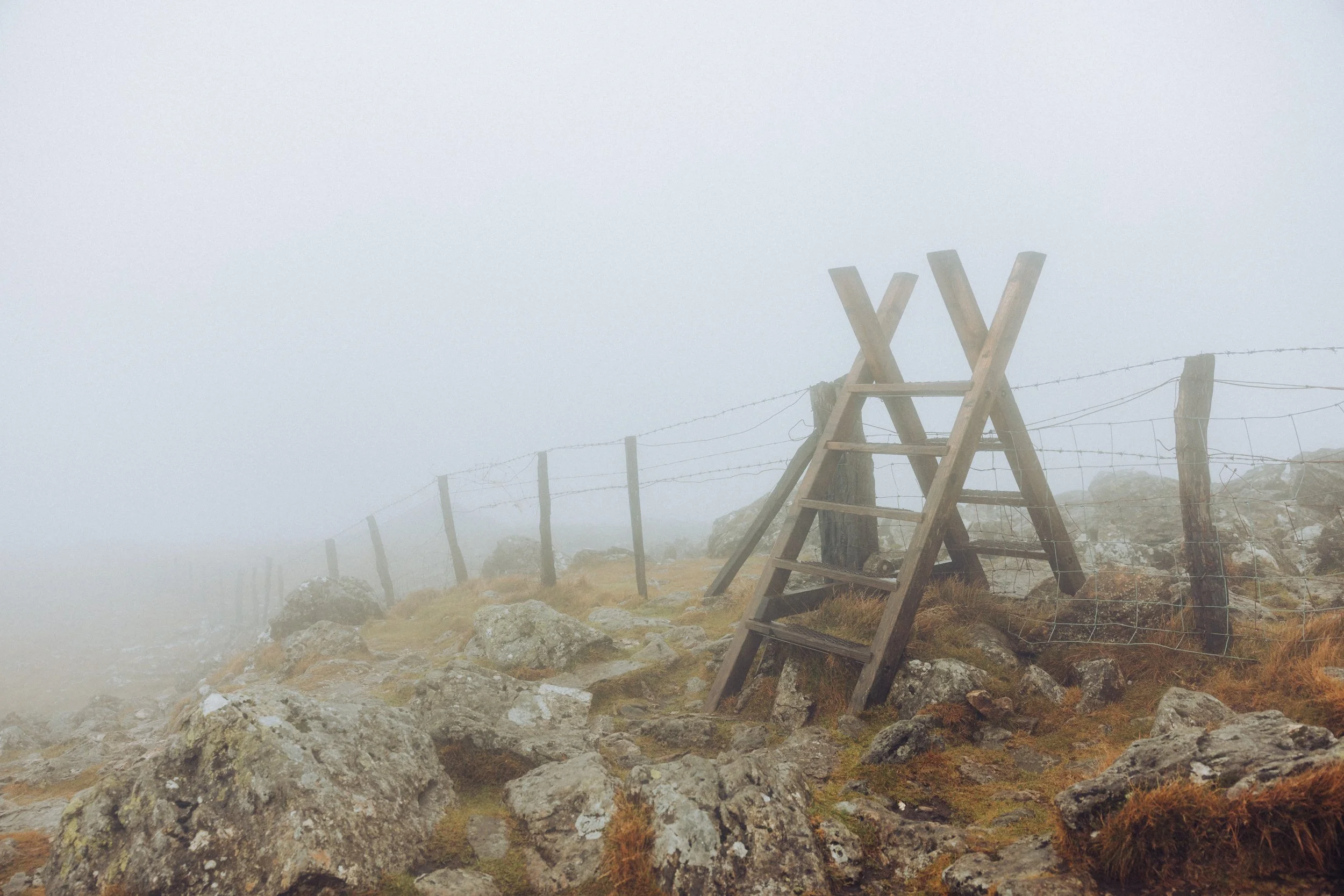 _MG_4032.jpg