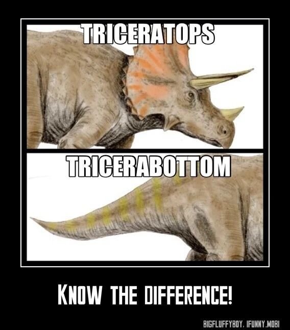 Monday Geo-chuckle 🙂

#meme #geologymemes #dinosaur #triceratops