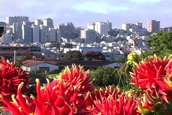 San Francisco from Fort Mason