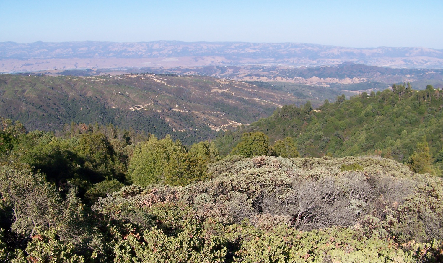 View of Gilroy area from near top of Loma Prieta