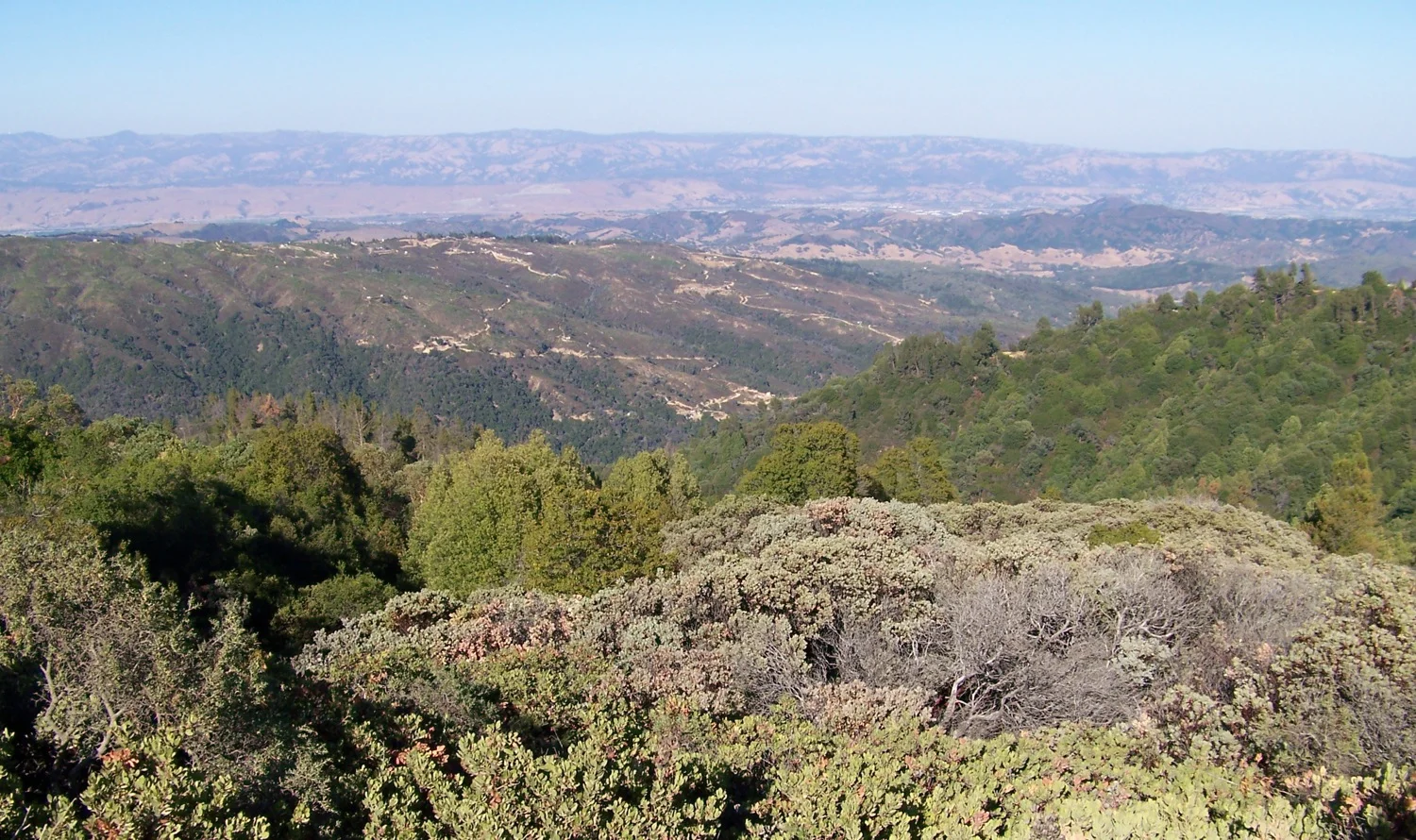 Santa Cruz Mountains Land Trust Of Santa Cruz County Land Trust