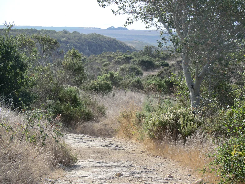 Marine terraces near Santa Cruz