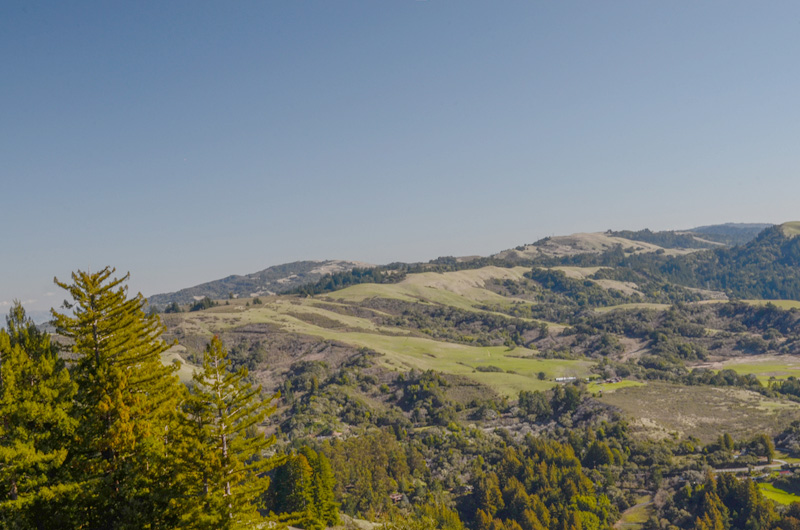 Grassy hills, brushy slopes, and forests are all present in La Honda Open Space Preserve, Santa Cruz Mountains