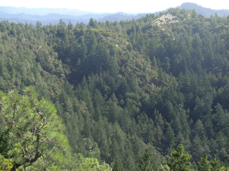 Westward-trending ridges from Chalks Mountain