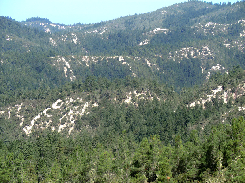 "The Chalks” in Big Basin