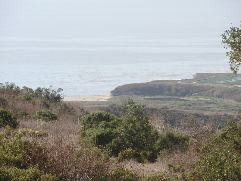 Baldwin Creek Estuary