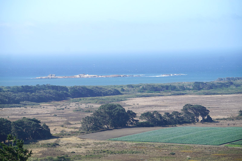 Ano Nuevo Island