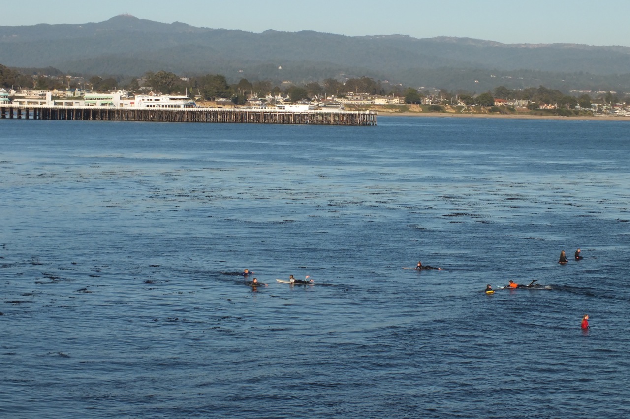 Views of Santa Cruz wharf with Loma Prieta in background from West Cliff Drive, Santa Cruz