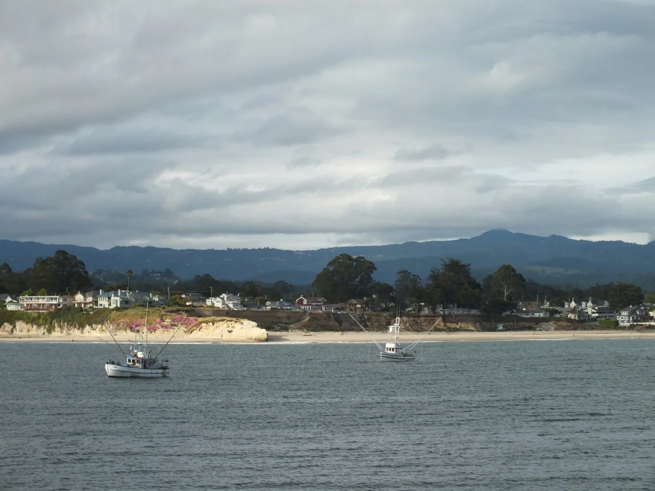 DSCF2392.jpg