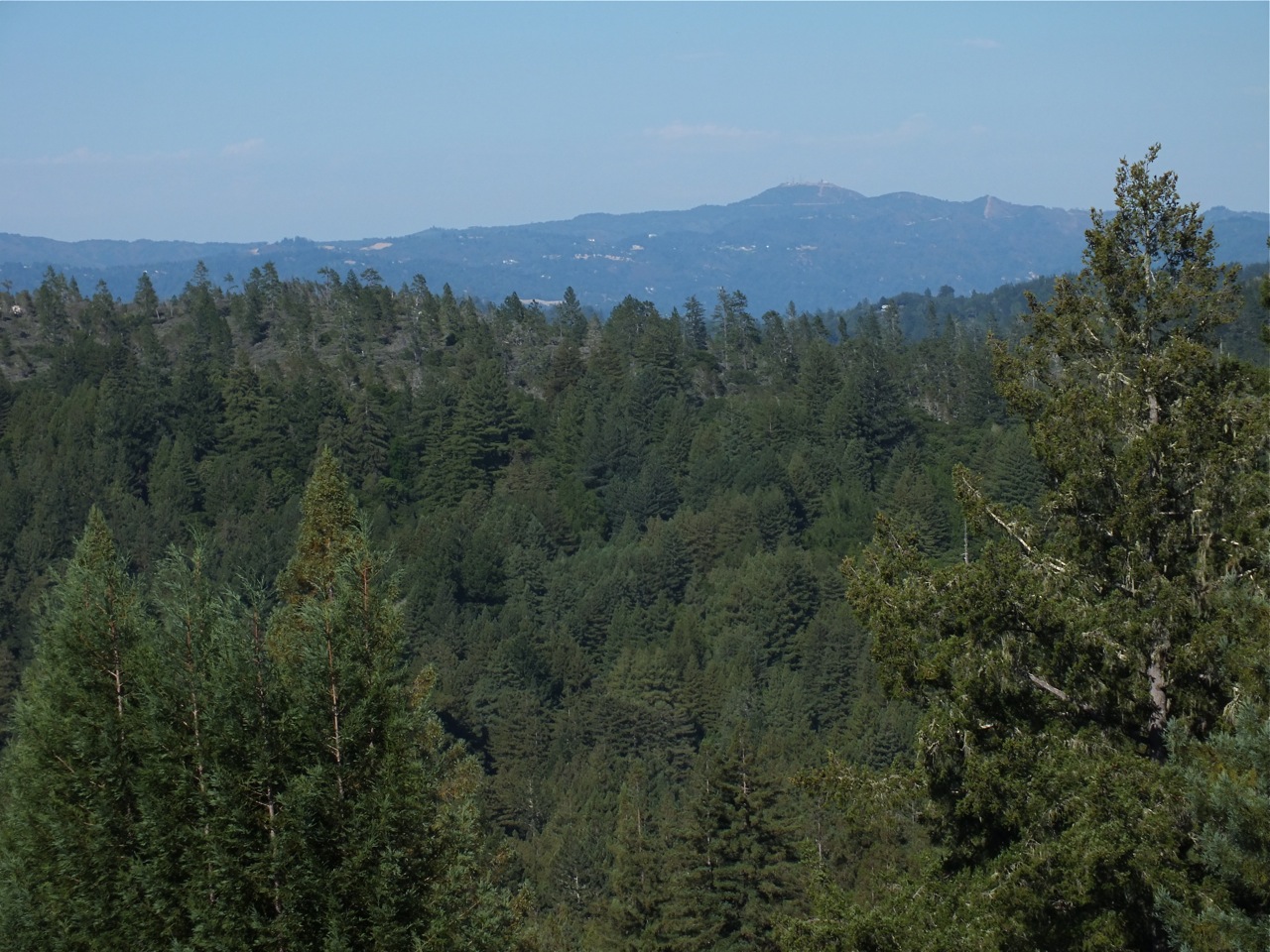 Loma Prieta, Roaring Camp Bear Mtn. in foreground from Ben Lomond Mountains