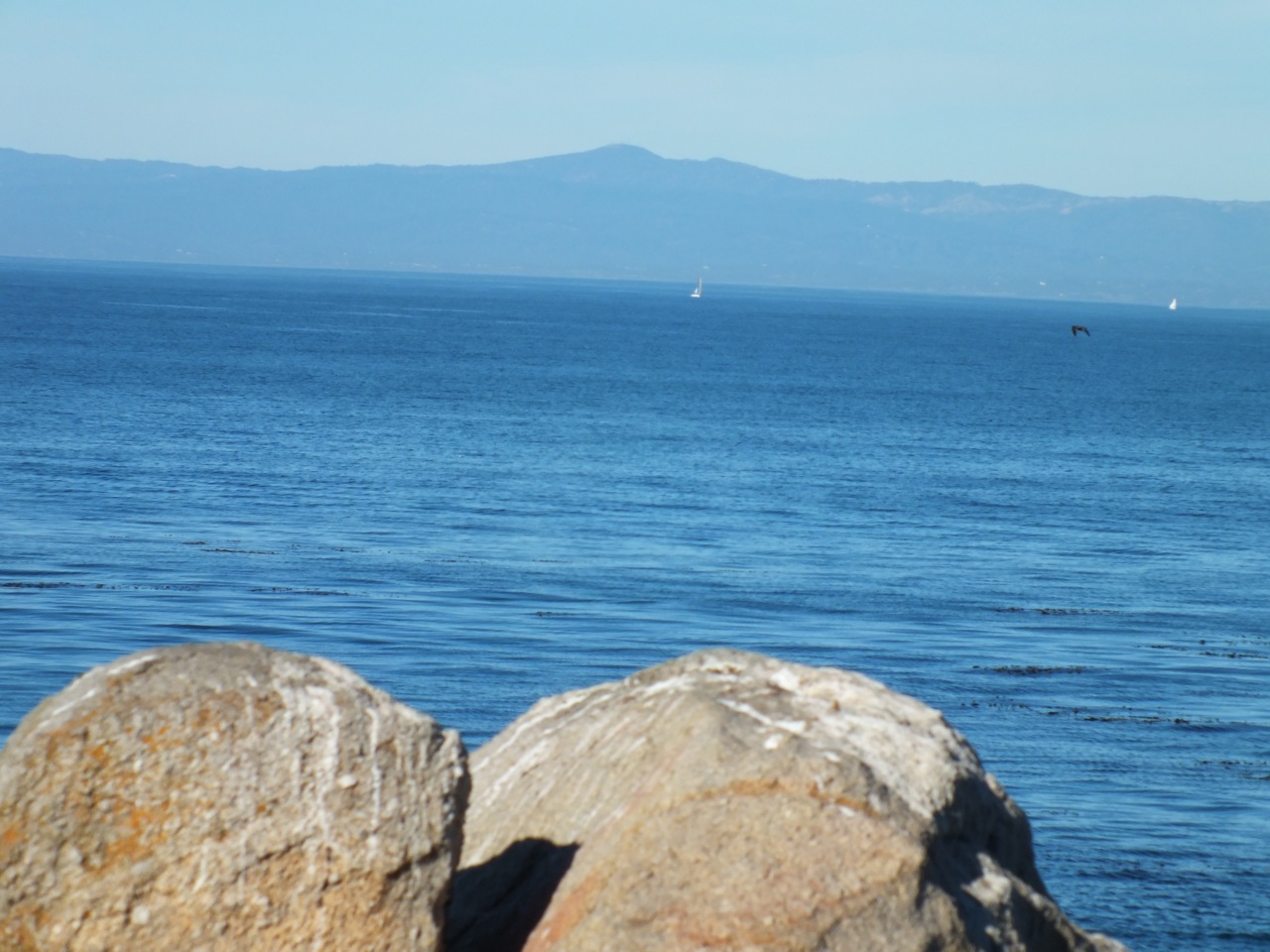 Granitic outcropping at Pacific Grove with Loma Prieta in the distance.