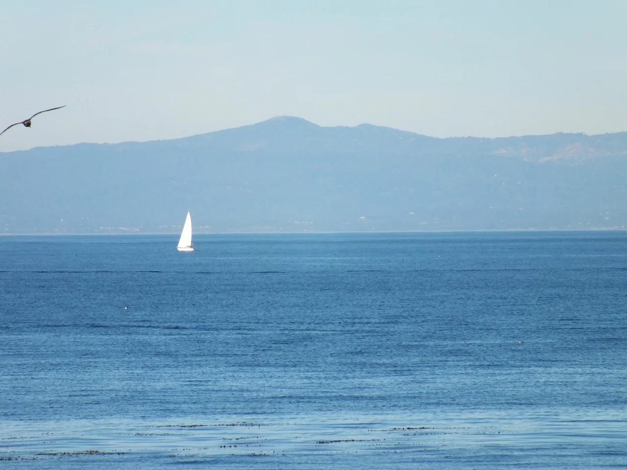 DSCF6843.jpg