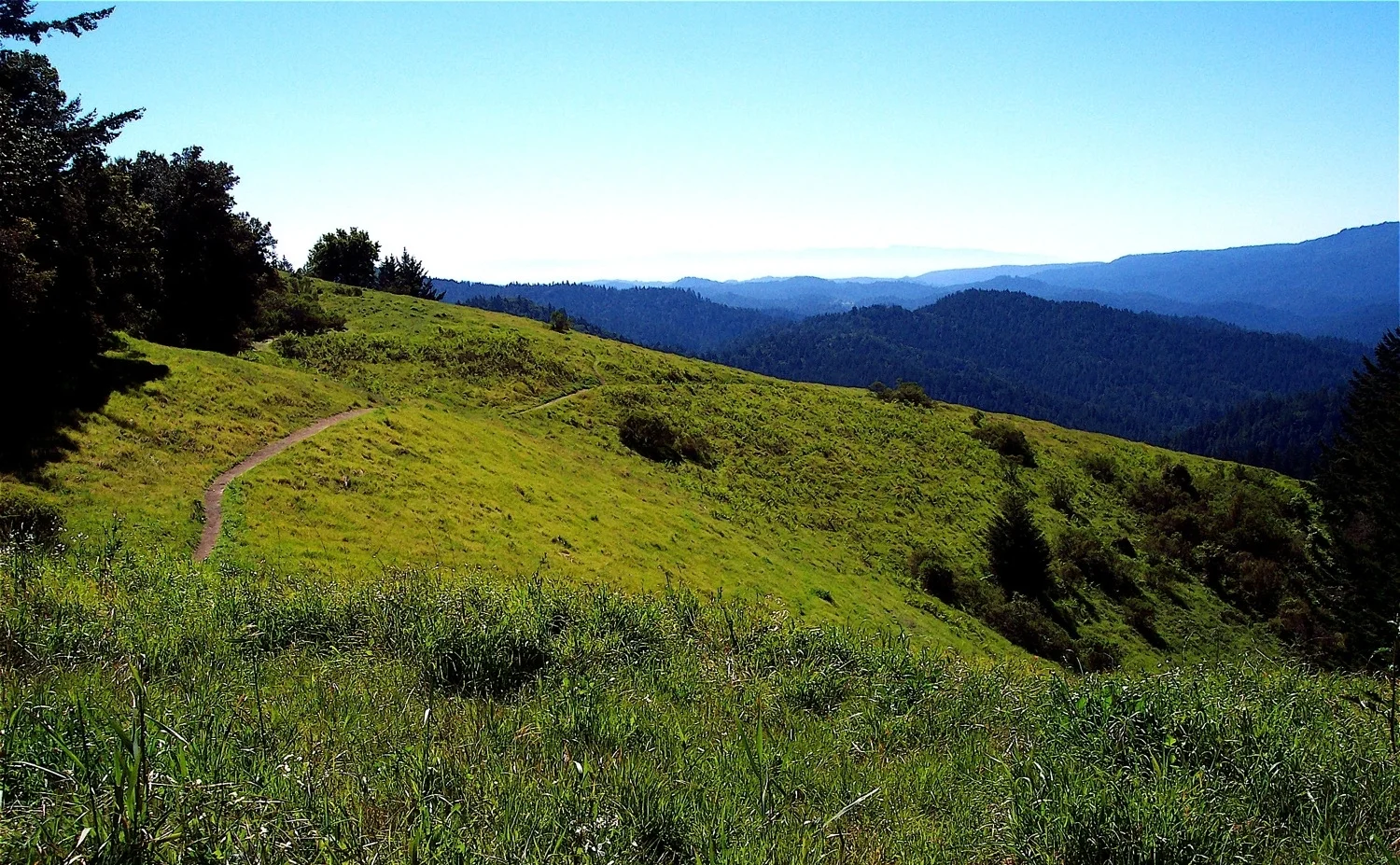 View of San Lorenzo Valley from Sempervirens Point