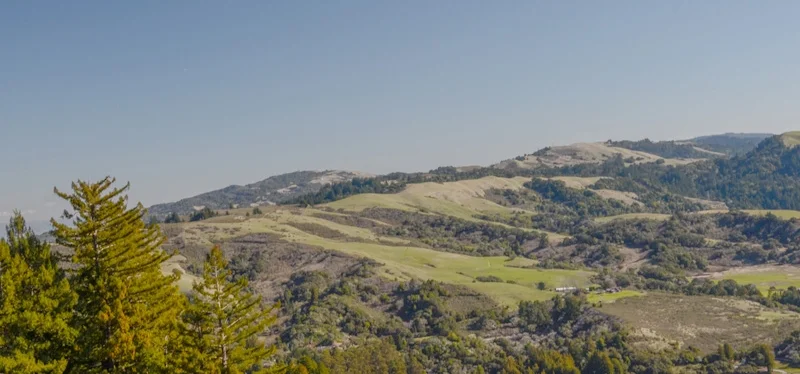 Grassy hills, brushy slopes, and forests are all present in La Honda Open Space Preserve, Santa Cruz Mountains