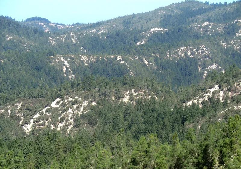 "The Chalks" in Big Basin