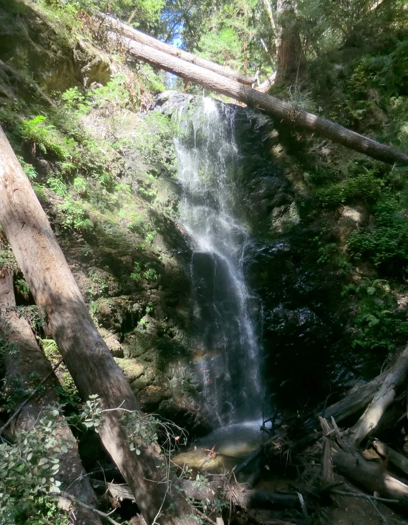 Berry Creek Falls, Big Basin