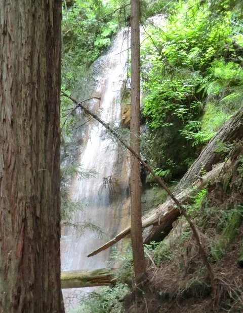 Silver Falls, Big Basin