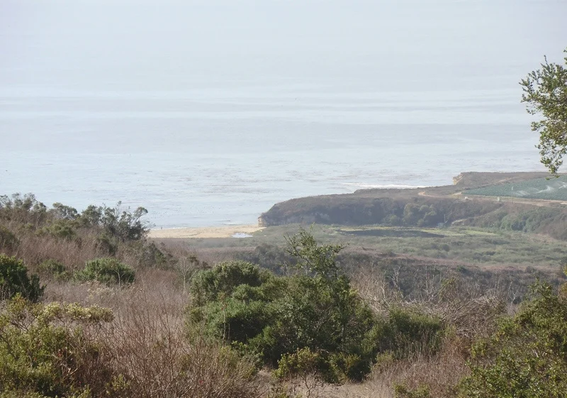 Baldwin Creek Estuary