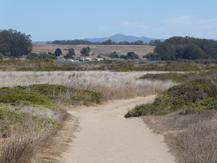 View of Loma Prieta in distance from Wilder Ranch  State Park. 