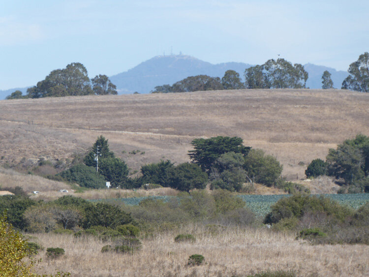 Telephoto of Loma Prieta from Wilder Ranch State Park. 