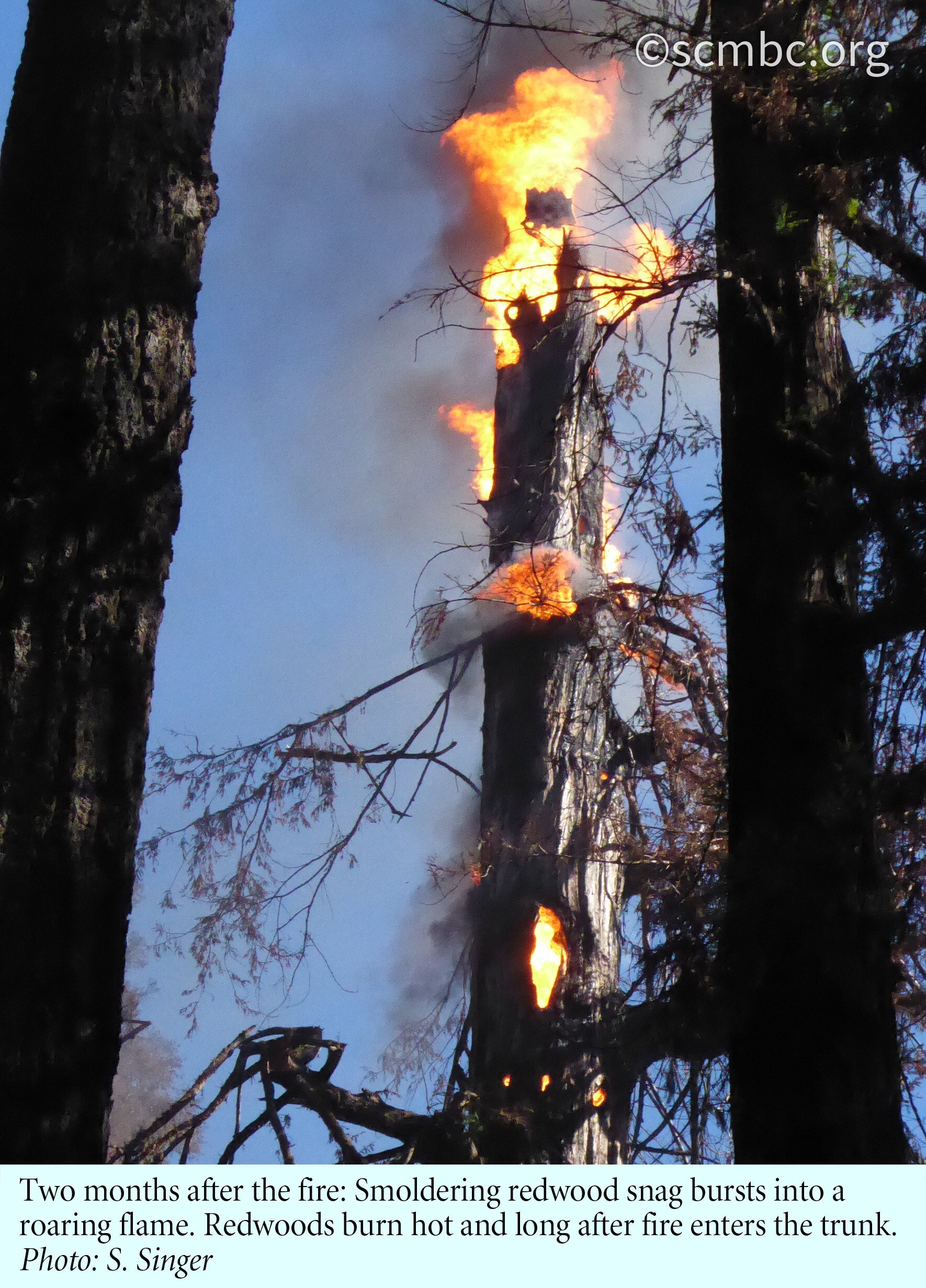 4-10- Flare up two months after fire - #191 w.jpg