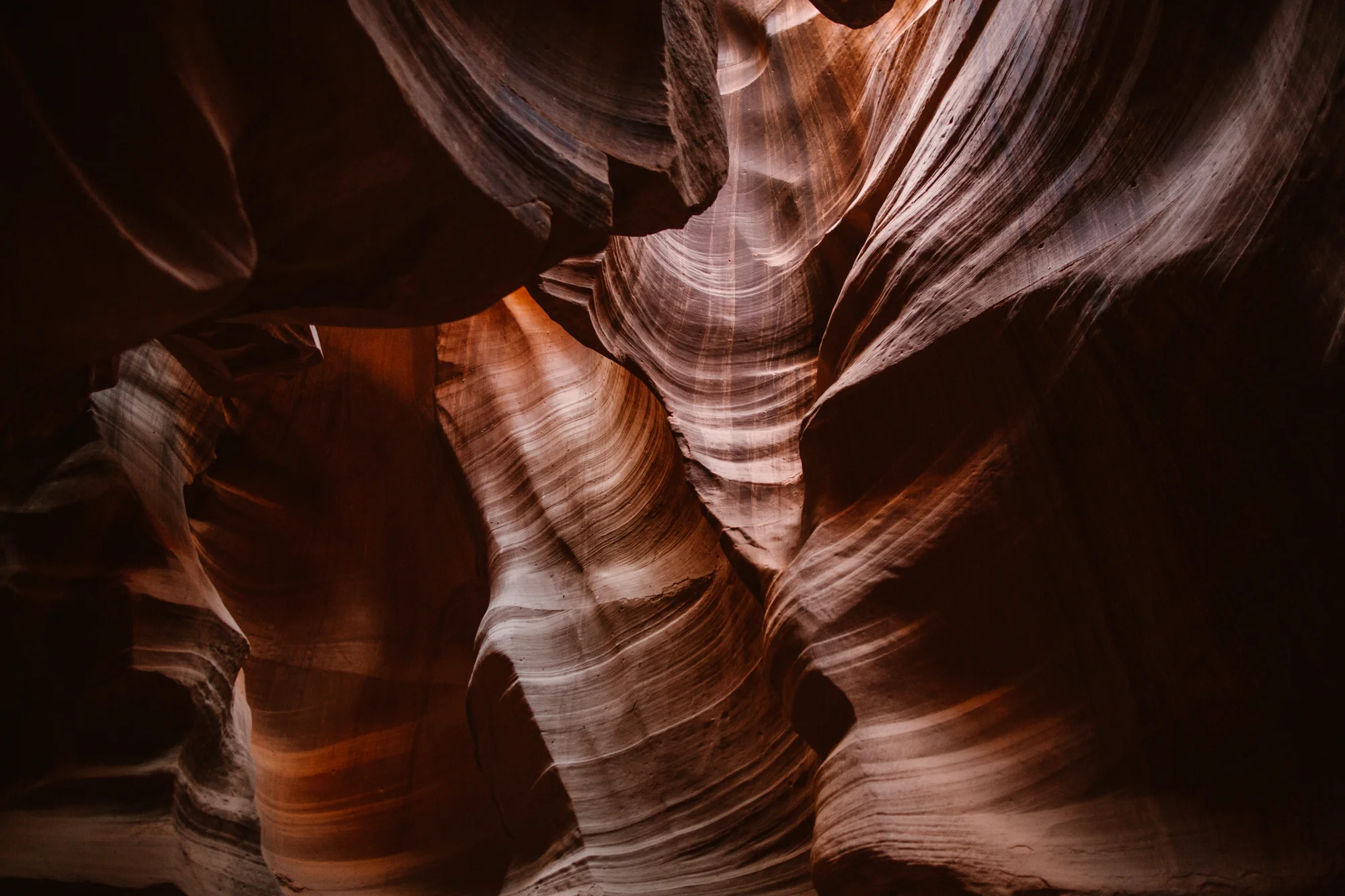 frankandpeggyphotography-1675.jpg