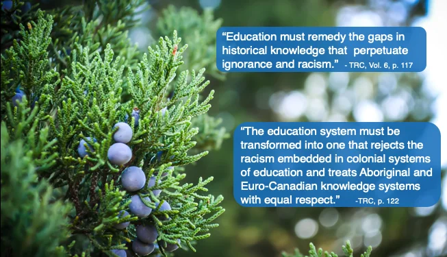 transformation of education systems?